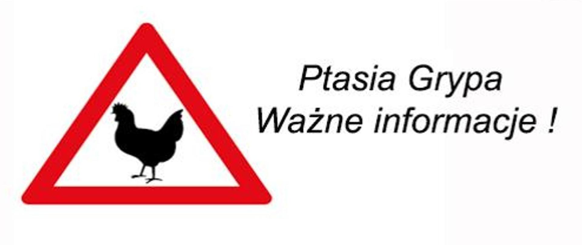 Ptasia grypa - informacje