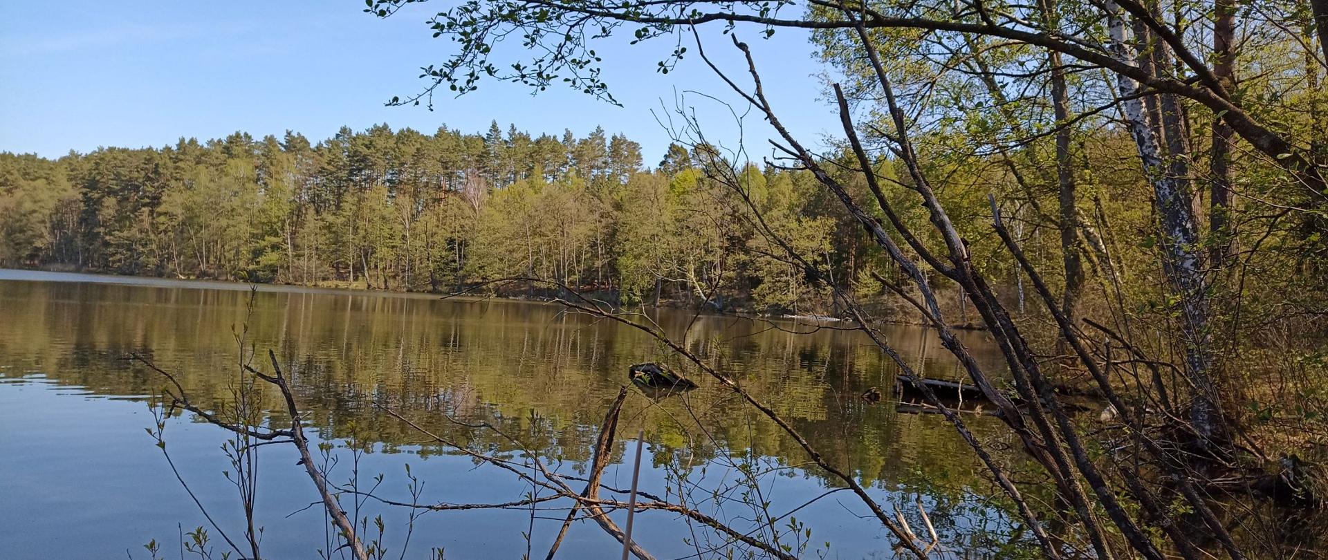 Na zdjęciu widać jezioro okolone gałęziami drzew. Jest wiosna. Pąki puszczają liście. 
