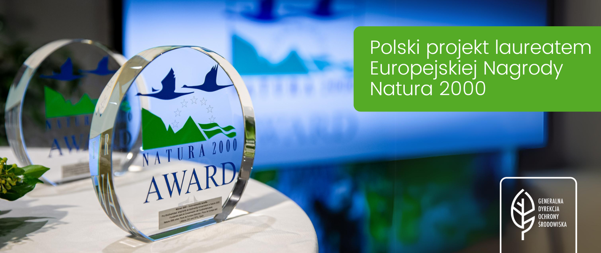 Na stole stoją dwie szklane statuetki z logotypem Nagrody Natura 2000 (Natura 2000 Award) . W prawym górnym rogu napis: Polski projekt laureatem Europejskiej Nagrody Natura 2000, w prawym dolny m rogu logotyp Generalnej Dyrekcji Ochrony Środowiska (biały liść)