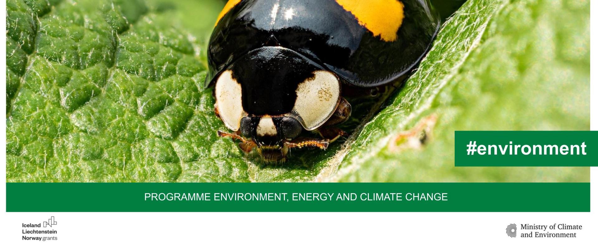 Environment Energy and Climate Change Programme #environment alien spacies