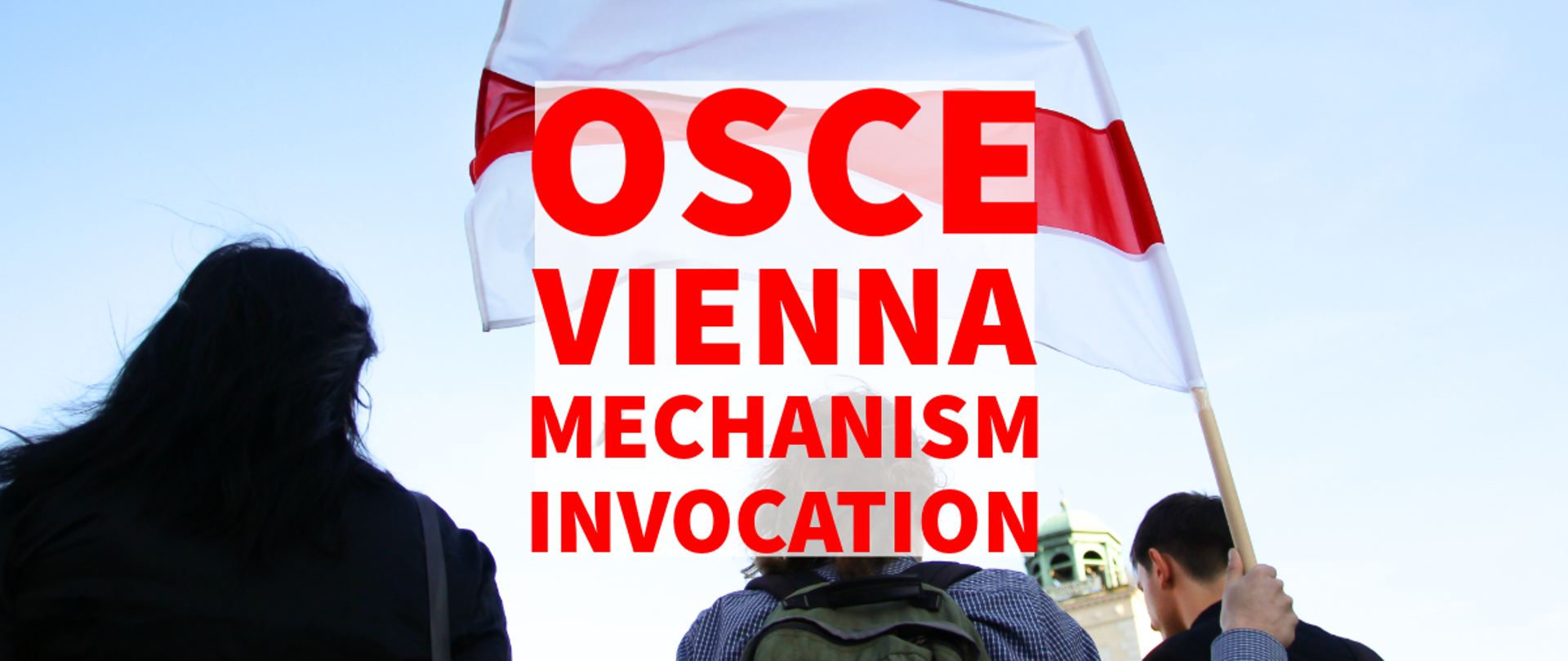 Vienna Mechanism 11.07.