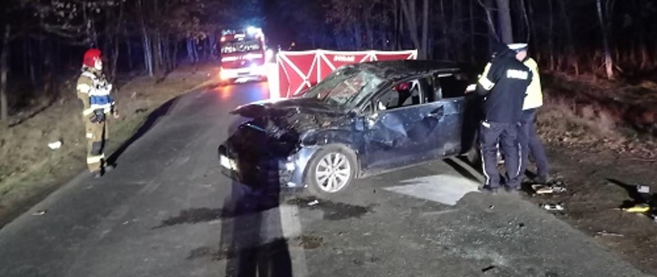 Wypadek Miertelny Pod Budzyniem Komenda Powiatowa Pa Stwowej Stra Y