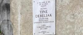  120. obletnica rojstva Tineta Debeljaka