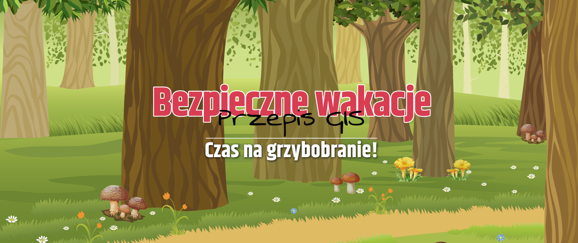 Jak przygotować się na grzybobranie