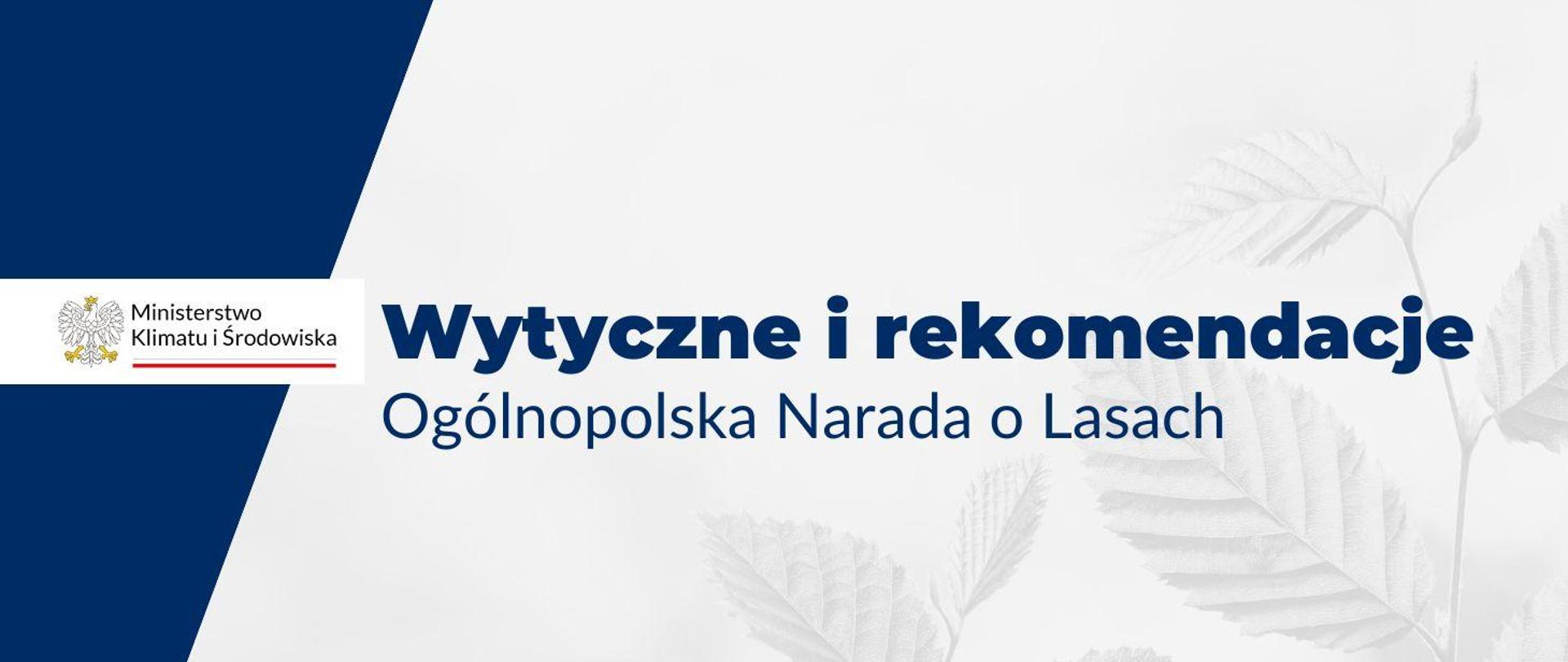 Leśnictwo Baner