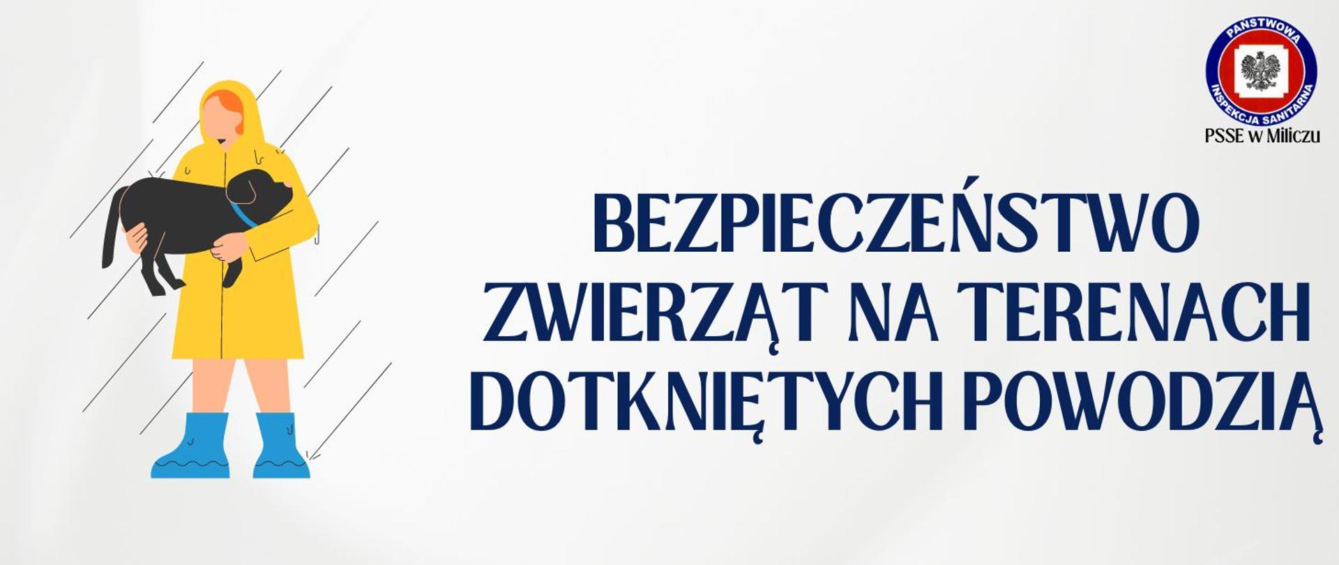 Bezpieczeństwo zwierząt towarzyszących na terenach dotkniętych powodzią