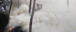 Działania gaśnicze przy pożarze w miejscowości Sędziszowice – podawanie prądów gaśniczych na źródło pożaru.