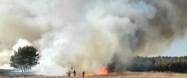 Strażacy w ubraniach bojowych gaszą pożar suchej roślinności przy użyciu tłumic