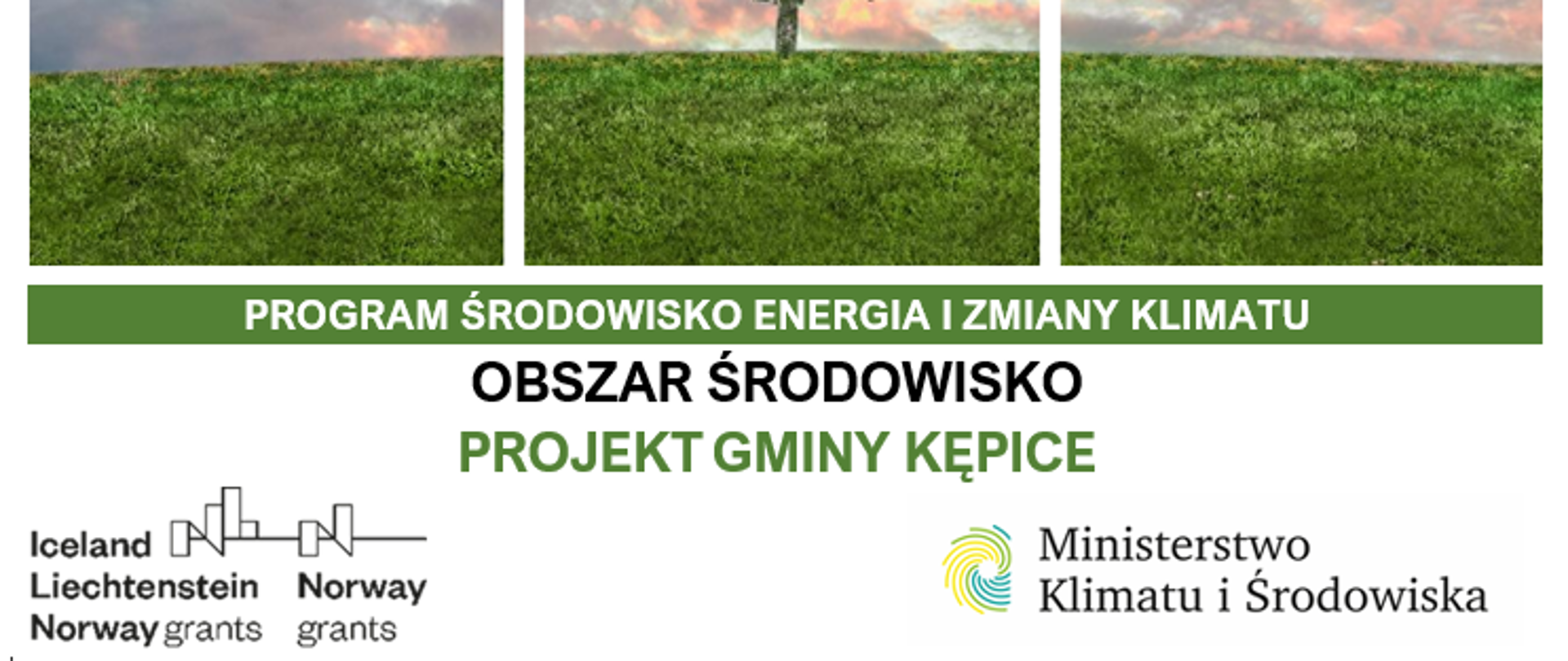 Projekt Ochrona rodzimej przyrody przed inwazją barszczu Sosnowskiego, rdestowca ostrokończystego oraz nawłoci kanadyjskiej KĘPICE MF EOG