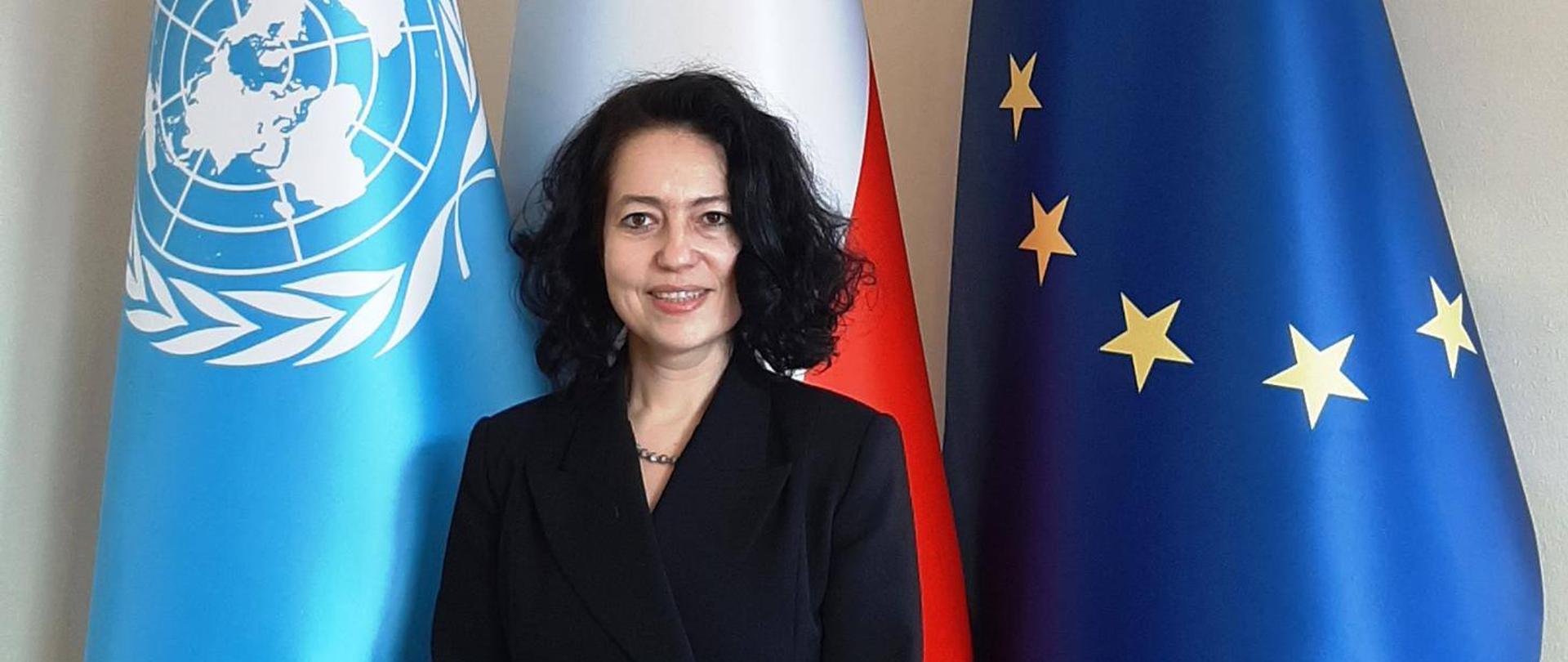 Ambasador Dominika Krois, Stała Przedstawiciel RP przy Biurze Narodów Zjednoczonych Wiedniu