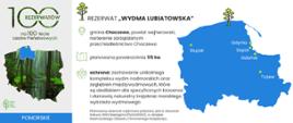 Opis rezerwatu Wydma Lubiatowska