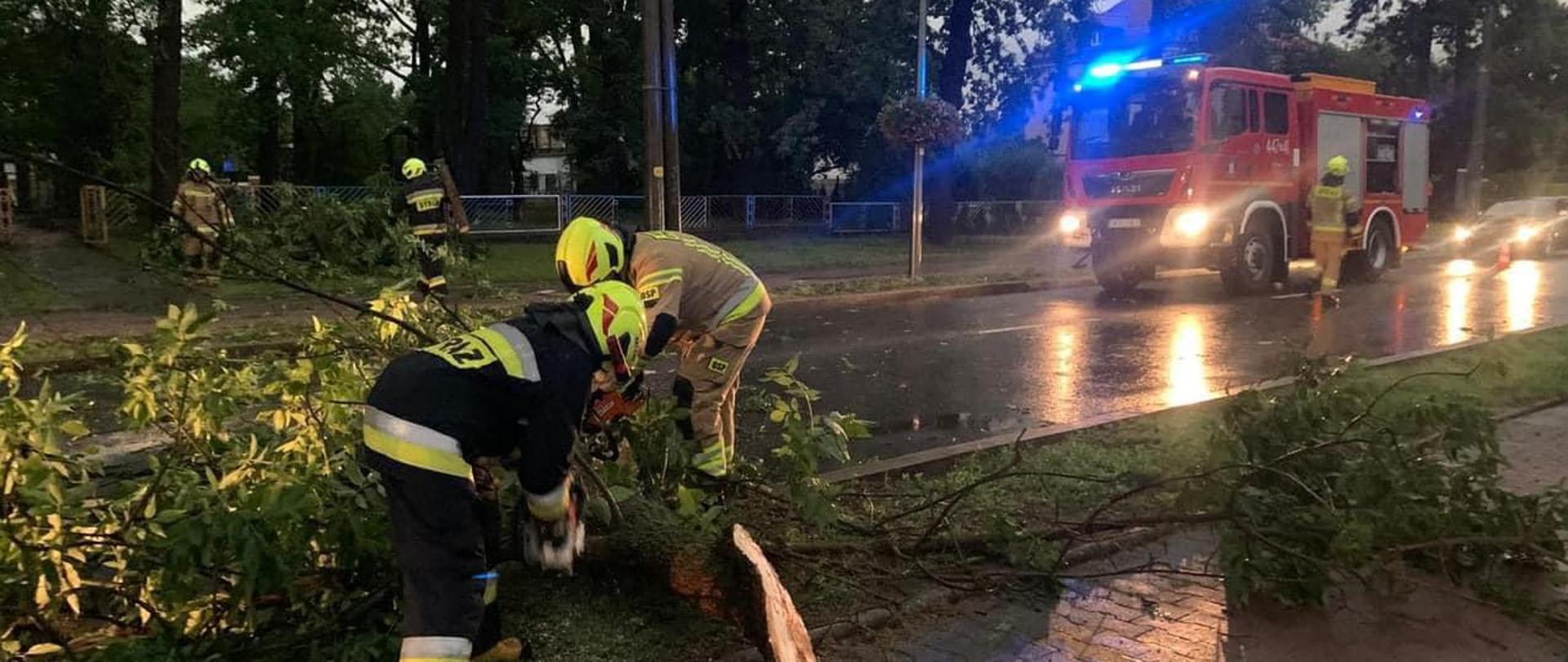 Interwencje strażaków - złamane na ulice drzewo
