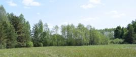 Ochrona czynna cennych ekosystemów na terenie województwa świętokrzyskiego 