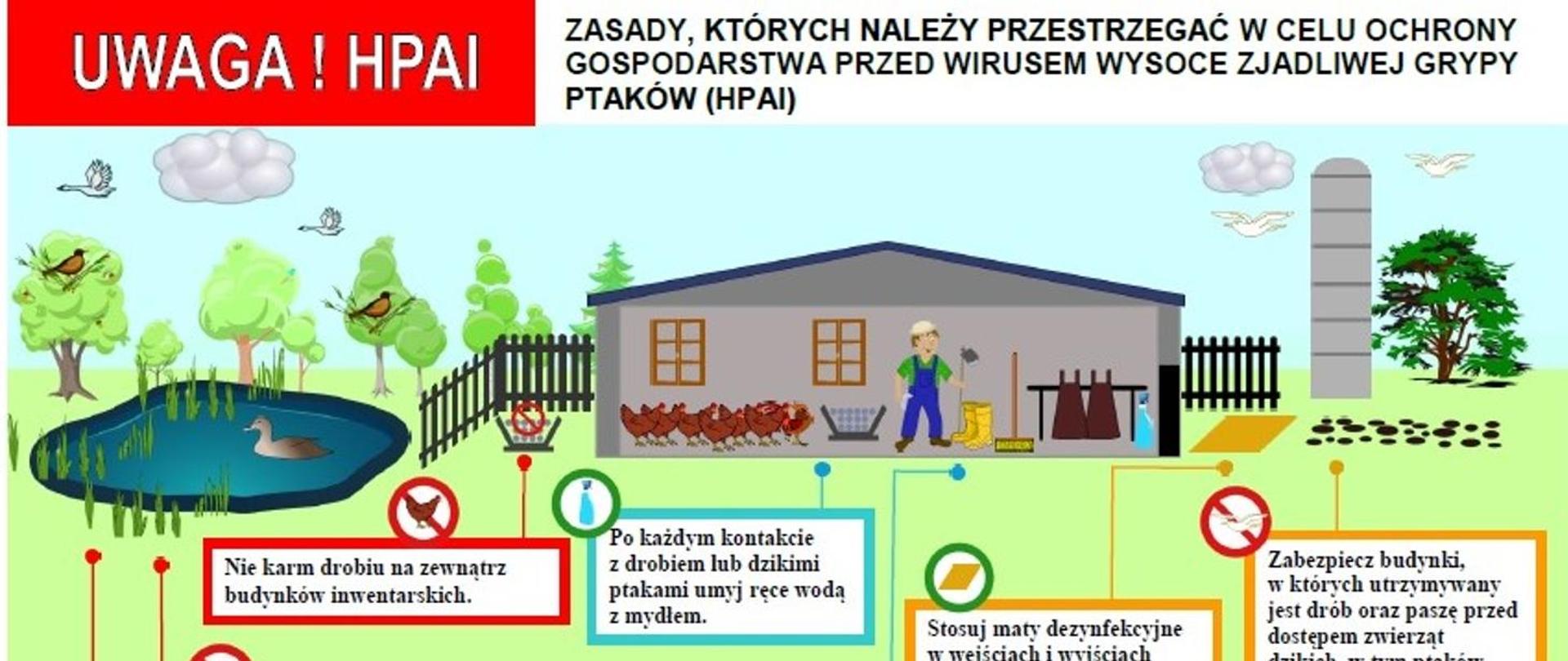 Zjadliwa grypa ptaków (HPAI) na terenie województwa pomorskiego.