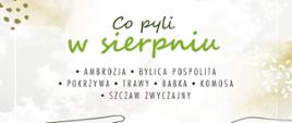 Co pyli w sierpniu