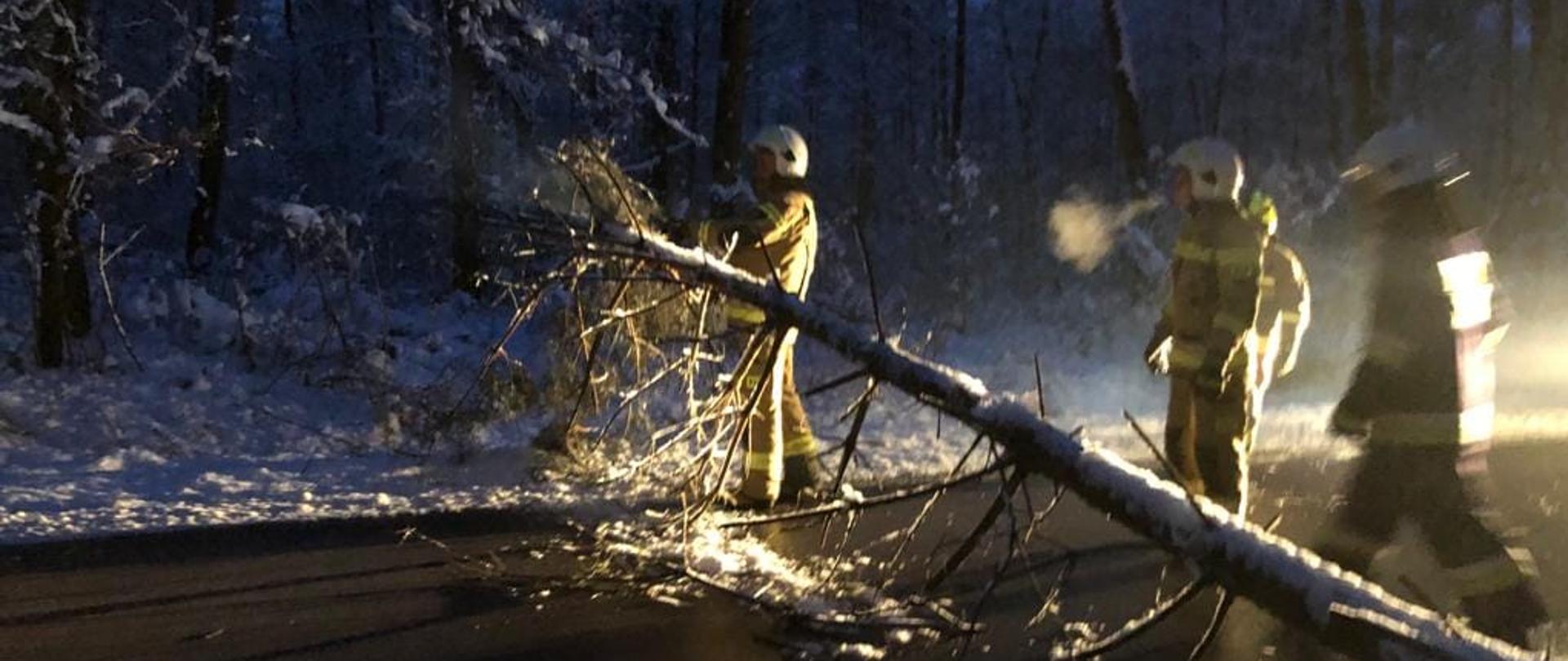 Trzech strażaków usuwa drzewo pochylone nad jezdnią po opadach mokrego śniegu.