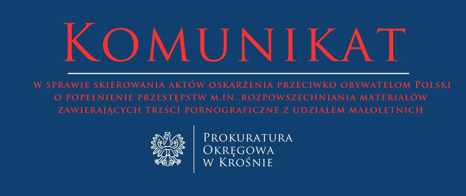 Informacja prasowa w sprawie skierowania aktów oskarżenia przeciwko obywatelom Polski o popełnienie przestępstw m.in. rozpowszechniania materiałów zawierających treści pornograficzne z udziałem małoletnich 