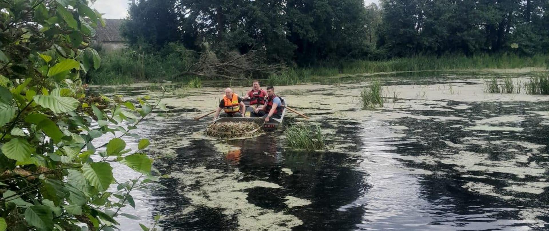 Strażacy transportują gniazdo łodzią ciągnąc po wodzie 