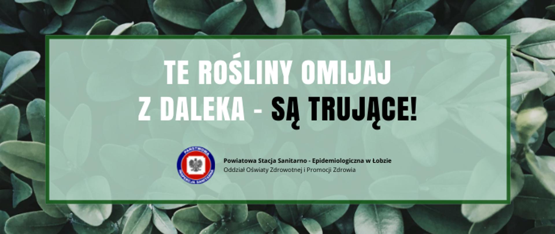 Na grafice znajduje się napis: TE ROŚLINY OMIJAJ Z DALEKA - SĄ TRUJĄCE! Poniżej widnieje logo Państwowej Inspekcji Sanitarnej oraz jest napisane: Powiatowa Stacja Sanitarno - Epidemiologiczna w Łobzie. Tło jest zielone.