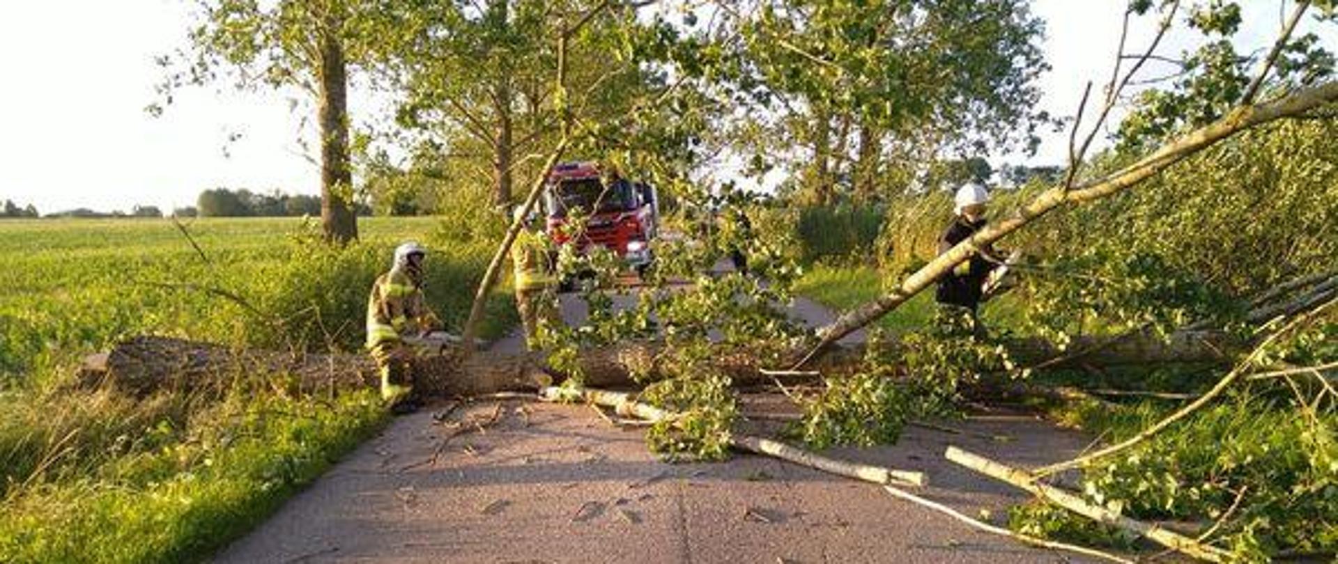 W poprzek drogi leży drzewo, strażacy usuwają je z drogi. W oddali widać samochód strażacki. Słonecznie.