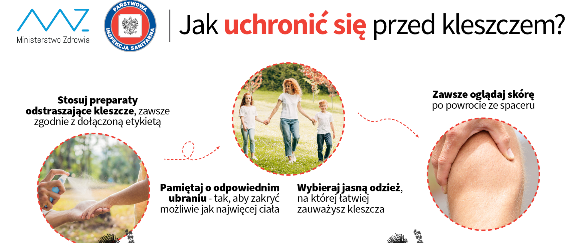 Jak uchronić się przed kleszczem?