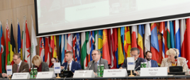 Konferencja Grupy Azjatyckich Partnerów ds. Współpracy OBWE o środkach budowania stabilnego pokoju panorama