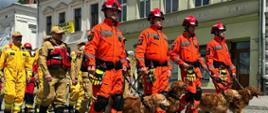 Jubileusze 150-lecia Nowosądeckiej Straży Pożarnej oraz 25-lecia Oddziału Powiatowego ZOSP RP uczczono podczas Małopolskich Obchodów Dnia Strażaka w Nowym Sączu