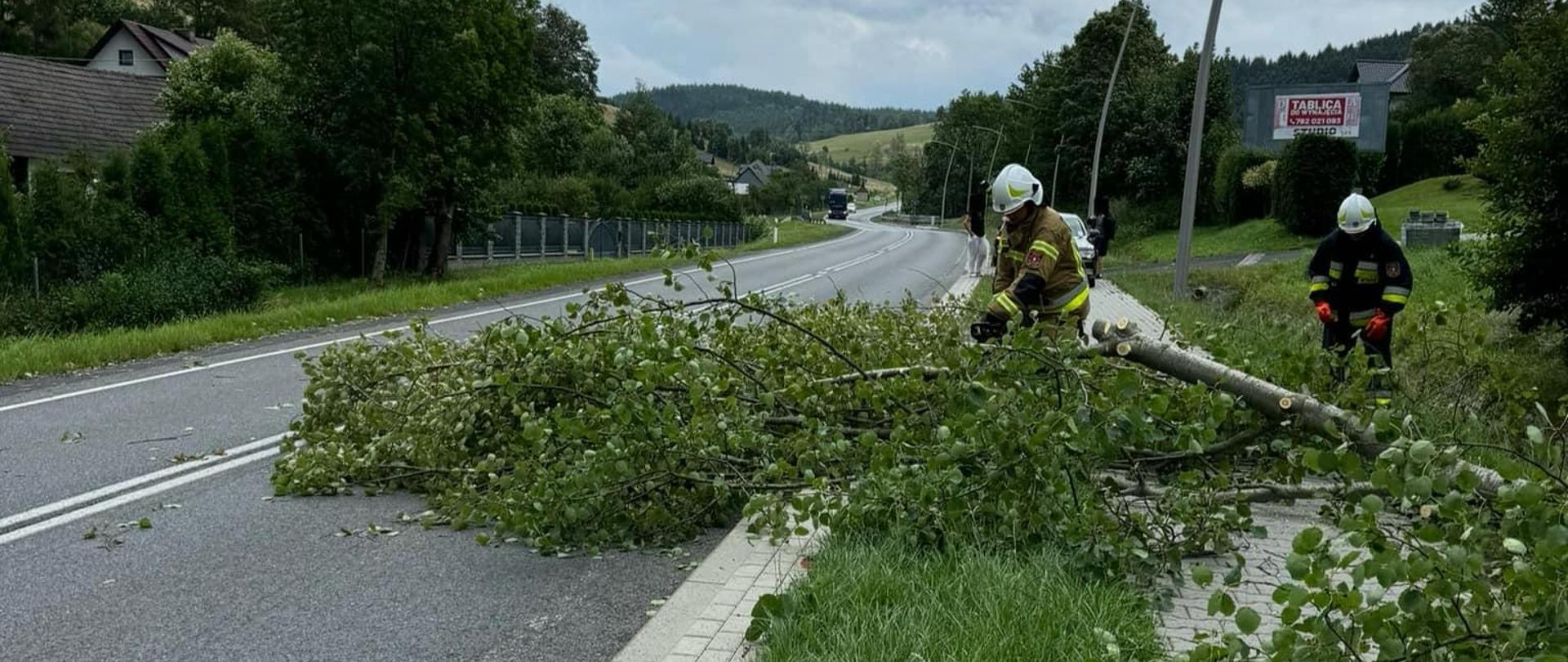 Strażacy usuwają powalone drzewo z drogi