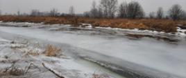 Pińczowscy strażacy uratowali 12-latka ,pod którym załamał się lód na dopływie rzeki Nida 