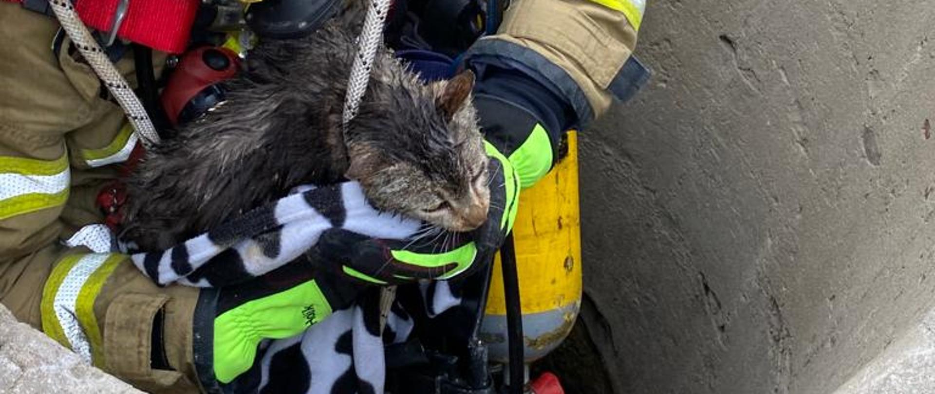 Ratownik ubrany w aparat ochrony układu oddechowego wraz z kotem wyciągani ze studni za pomocą specjalistycznego sprzętu wysokościowego. 