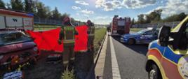 Na pierwszym planie po prawej stronie karetka pogotowia ratunkowego, po lewej stronie ułożony na trawie sprzęt medyczny, dalej uszkodzony pojazd. Strażacy rozstawiają parawan. Dalej po lewej stronie radiowóz i wóz strażacki.