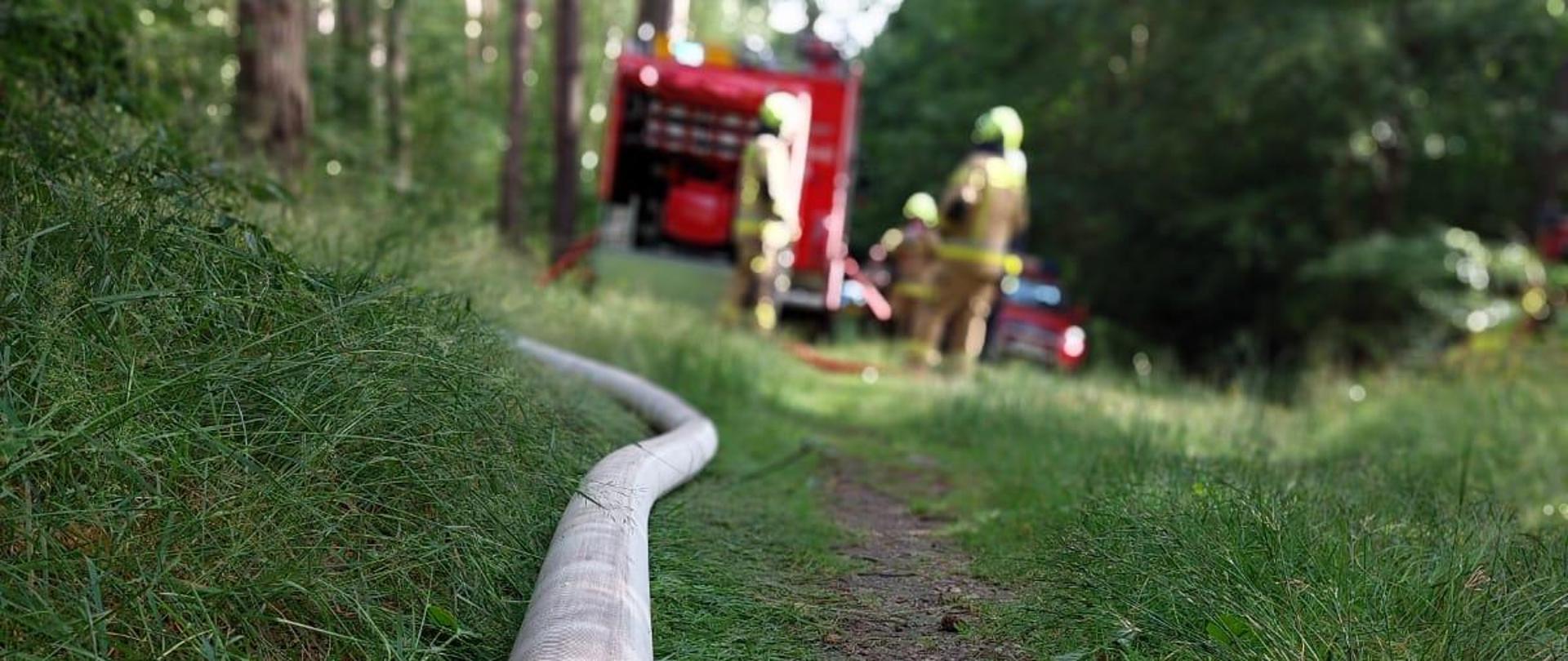 Połączone węże strażackie rozwinięcte na drodze leśnej.