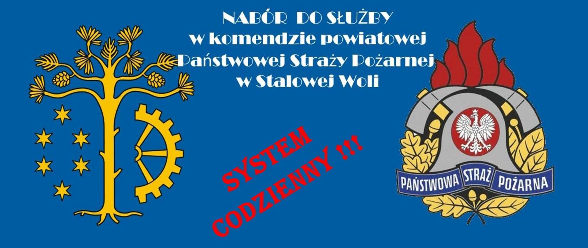 Nabór do KP PSP Stalowa Wola na stanowisko stażysty w Wydziale Logistyki, Informatyki i Łączności