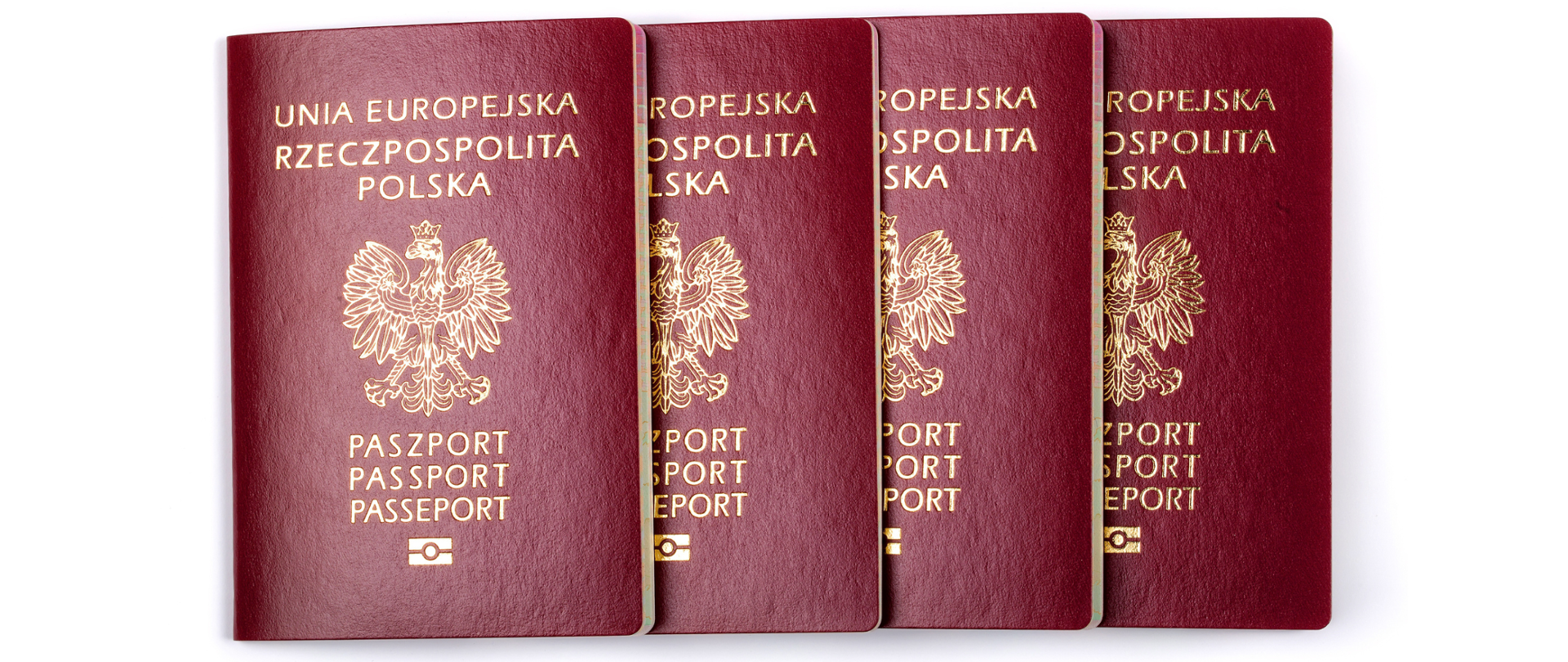 cztery paszporty poukładane jeden obok drugiego