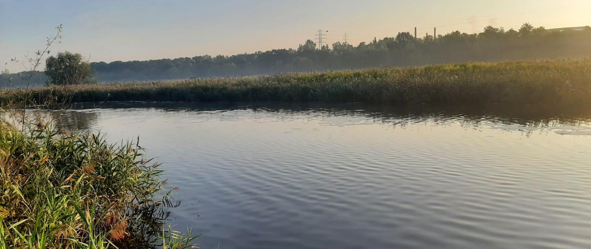 Zbiornik Dzierżno Duże - wlot rzeki Kłodnicy