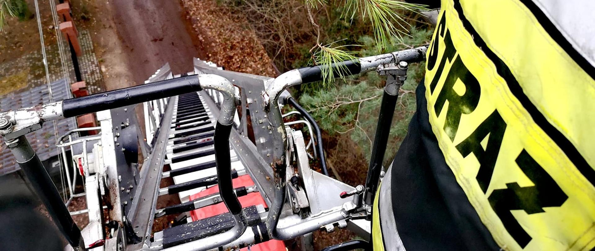 Zdjęcie zrobione z kosza drabiny mechanicznej podczas wycinania złamanego konaru drzewa. Po prawej widać strażaka w ubraniu specjalnym. W dole widać samochód strażacki.