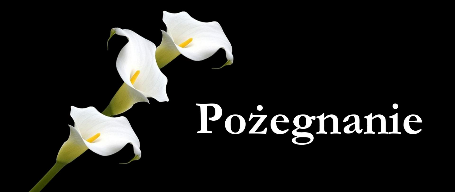 Pożegnanie