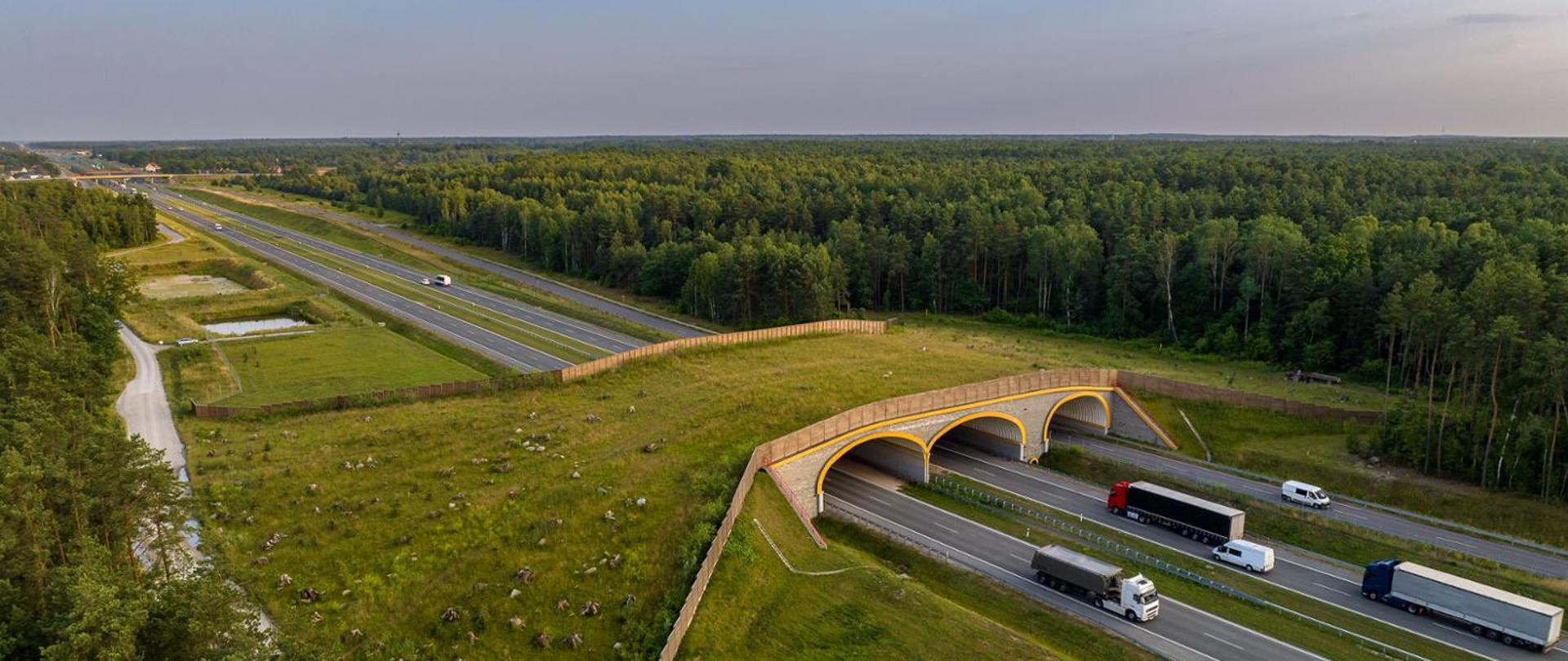 Przejście dla zwierząt nad dwujezdniową drogą ekspresową. Obiekt przypomina wiadukt ale jest szerszy i zamiast nawierzchni ma nasadzoną trawę. Przy krawędziach przejścia ekrany akustyczne 