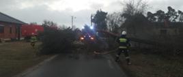 strażacy usuwają przewrócone na drogę drzewo