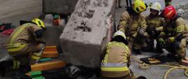Na zdjęciu widoczni strażacy w ubraniach pisakowych bojowych w hełmach czerwonych, żółtych i białych realizujący działania ratownicze związane z wydobyciem poszkodowanych osób z pod bloków betonowych w trakcie powiatowych ćwiczeń taktyczno-bojowe pod kryptonimem „Empol 2023” 