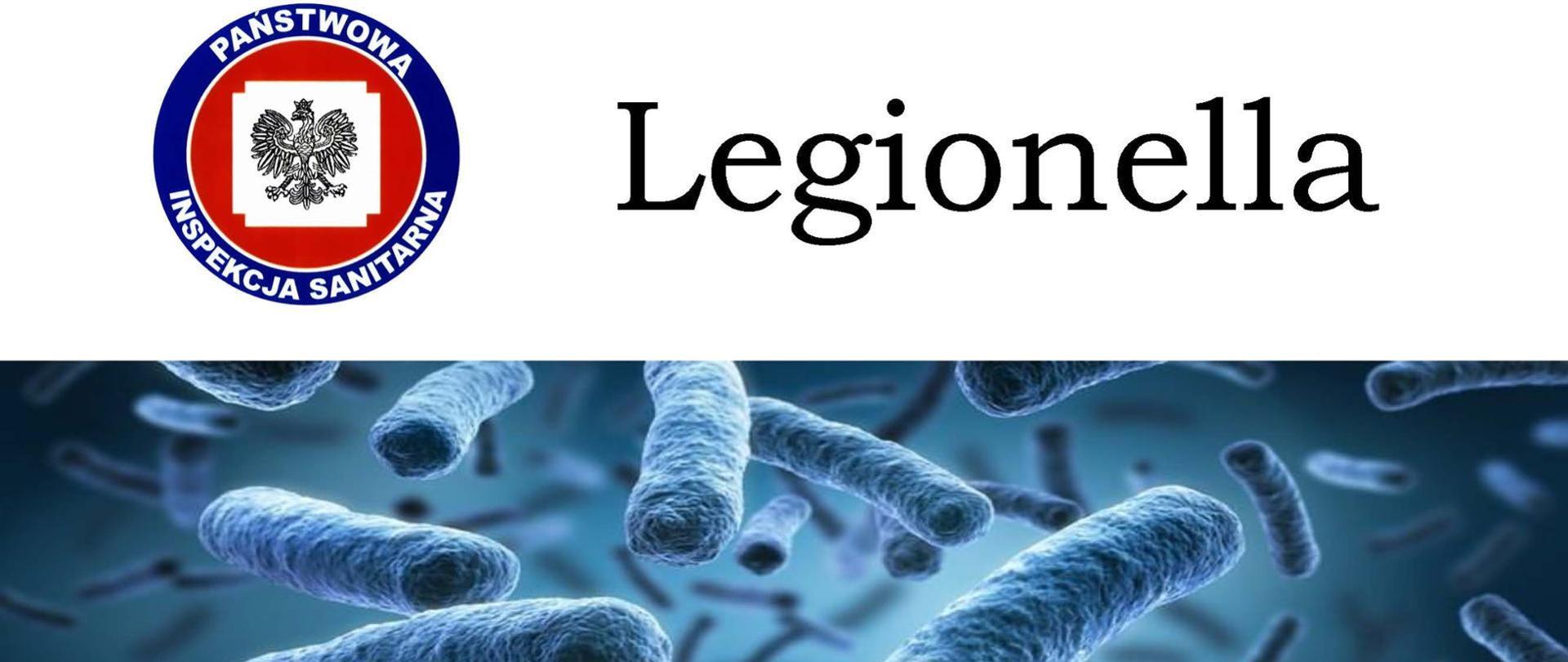 Legionella