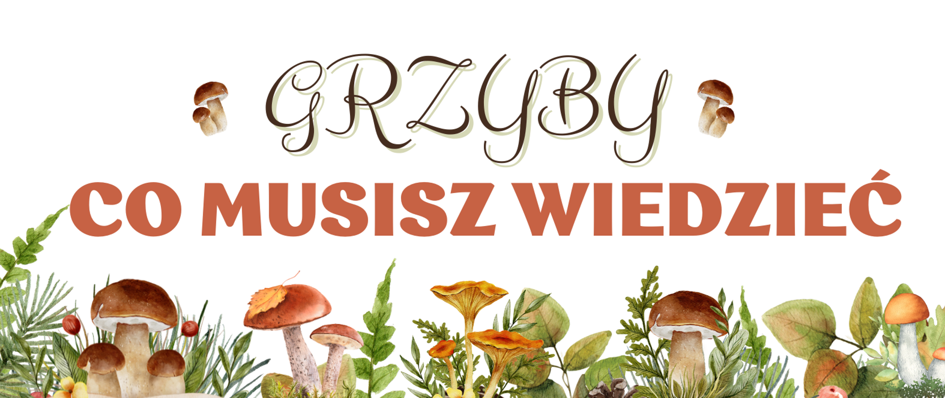 na środku planszy napis Co musisz wiedzieć, pod spodem namalowane grzyby w runie leśnym