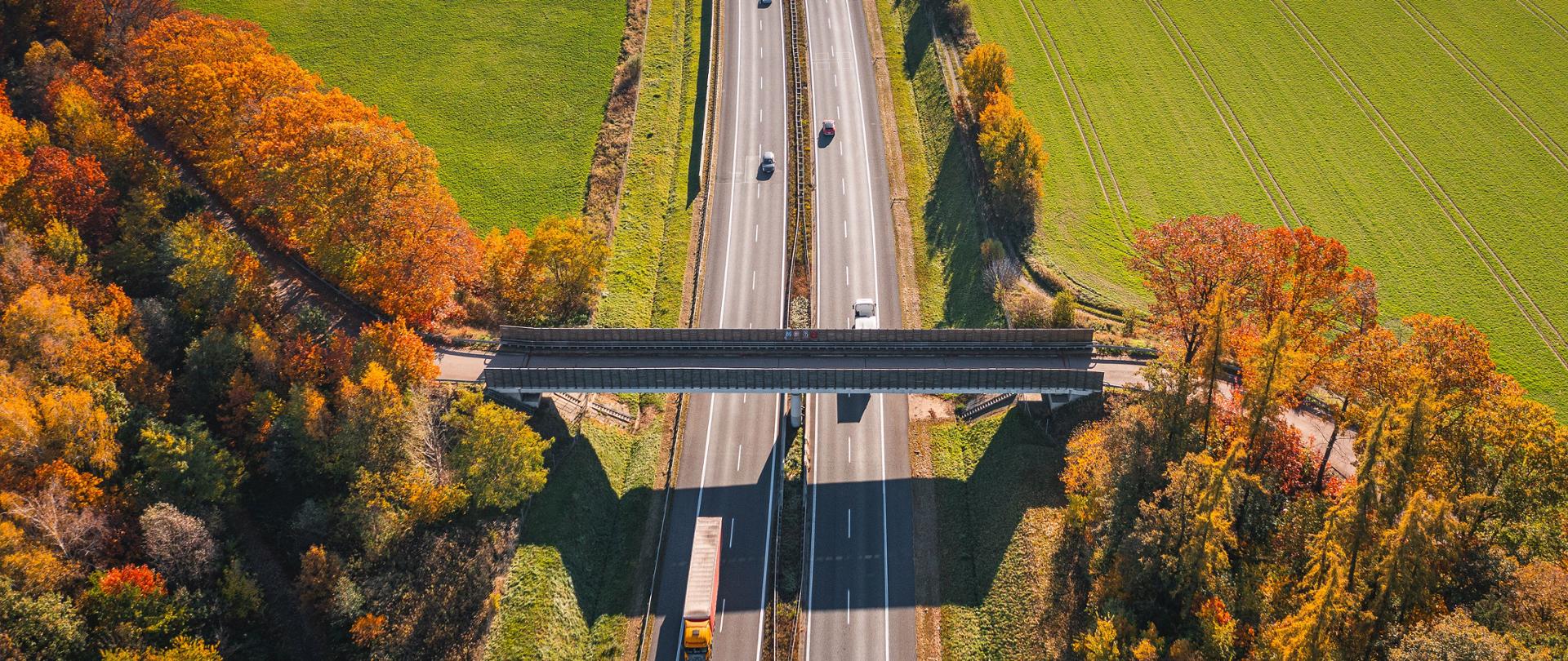 Zdjęcie przedstawia widok z lotu ptaka na autostradę biegnącą przez wiejski krajobraz. Autostrada składa się z dwóch pasów ruchu w każdym kierunku, oddzielonych pasem zieleni. Nad autostradą przebiega wiadukt, który łączy dwie drogi po obu stronach autostrady. Po lewej stronie zdjęcia widać las z drzewami w jesiennych kolorach, a po prawej stronie rozciągają się zielone pola uprawne. Na autostradzie znajduje się kilka pojazdów, w tym ciężarówka i samochody osobowe. Zdjęcie jest interesujące ze względu na kontrast między naturalnym krajobrazem a infrastrukturą drogową oraz piękne jesienne barwy drzew.