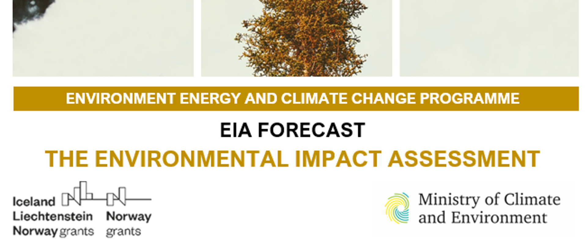 THE_ENVIRONMENTAL_IMPACT_ASSESSMENT