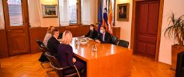 Discussion about the cooperation between Toruń and Novo Mesto