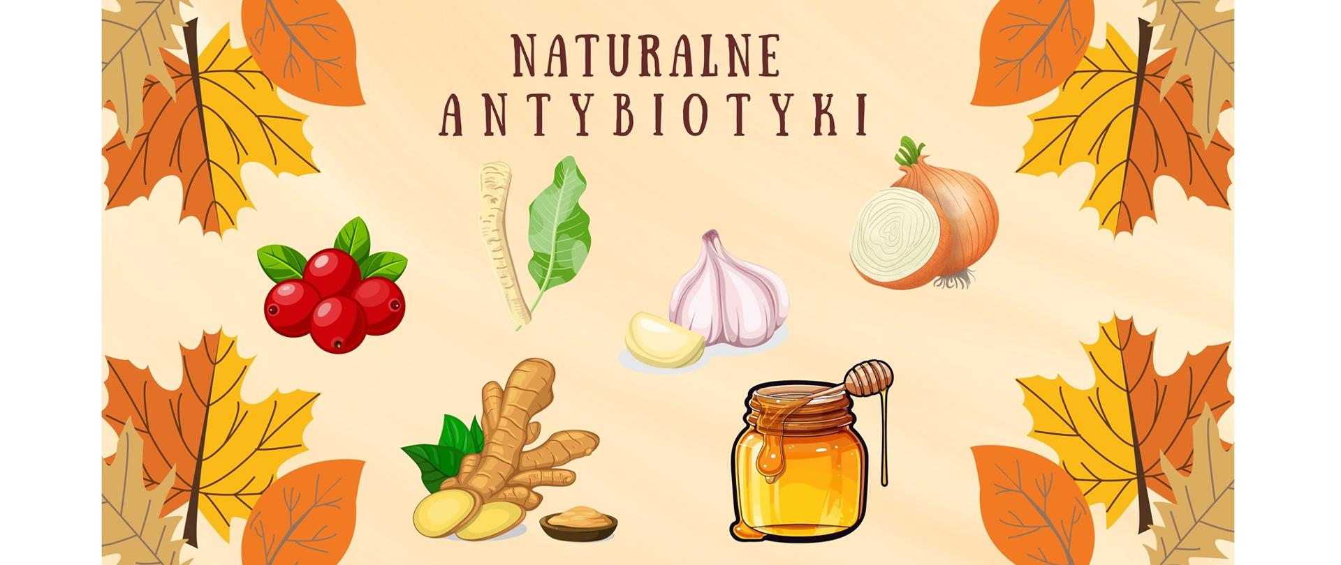 NATURALNE_ANTYBIOTYKI