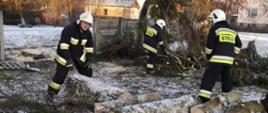 Na zdjęciu strażacy tną powalone drzewo na mniejsze kawałki celem usunięcia. W tle widać odrodzenie uszkodzone przez ww. drzewo. 