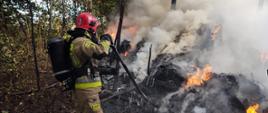 Działania gaśnicze przy pożarze w miejscowości Sędziszowice – ratownik przerzucający palące się elementy.