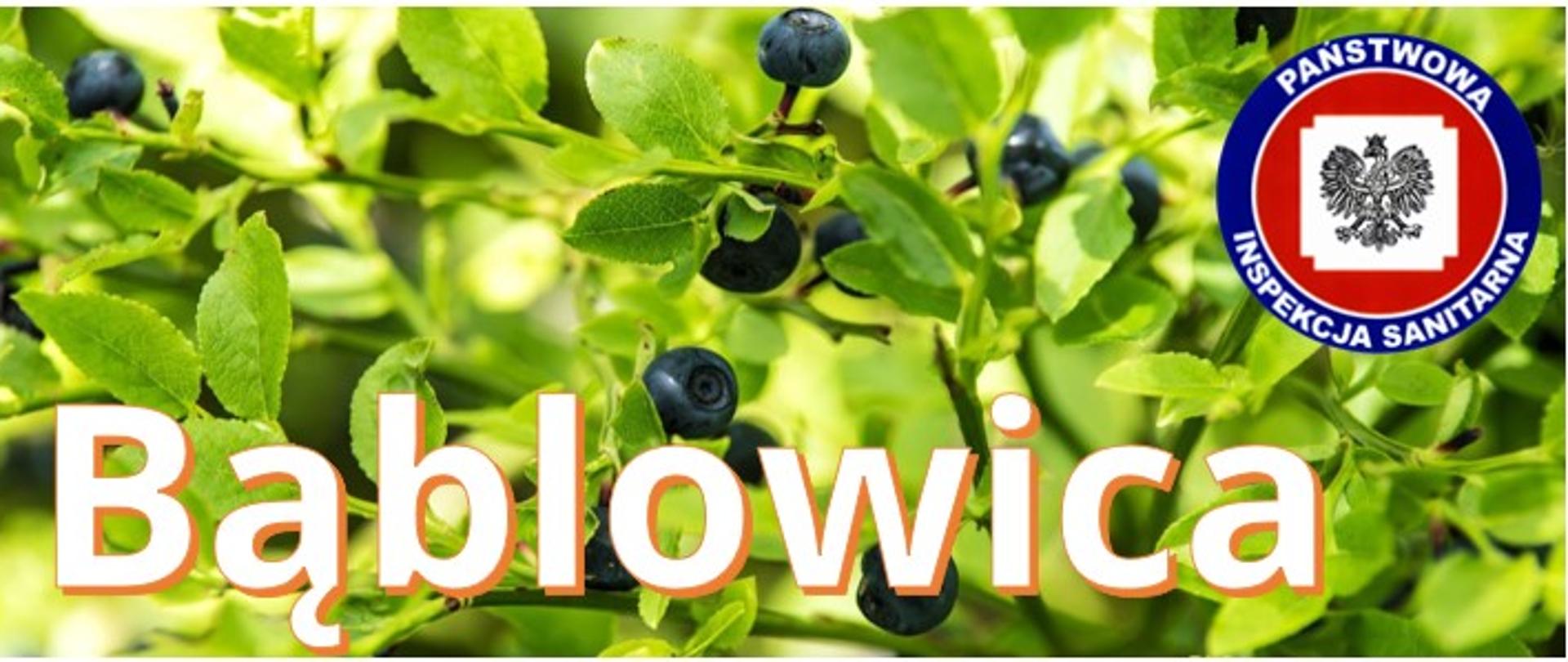 Bąblowica