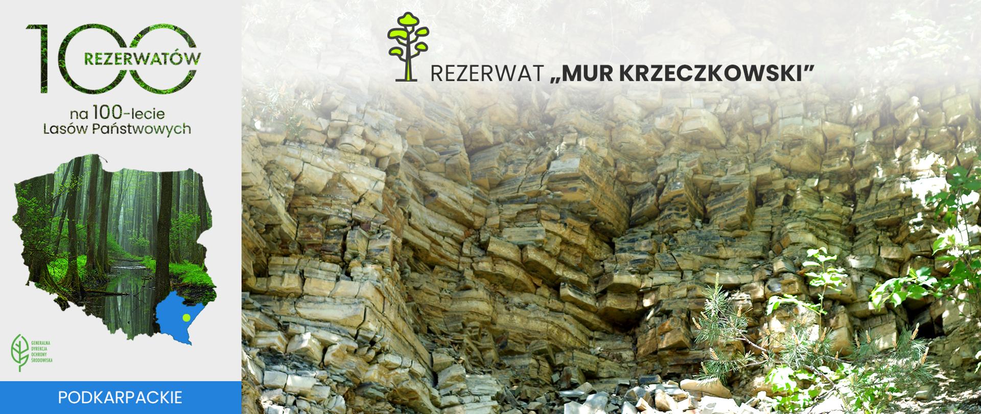 Mur Krzeczkowski